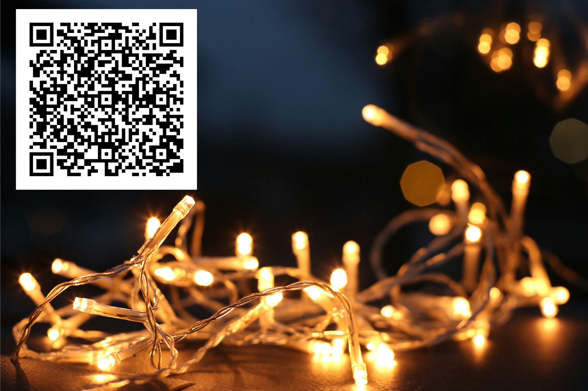 Communicare’s Tree of Light initiative is back for 2026